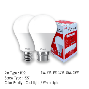 FINAL Oracal LED House Bulb